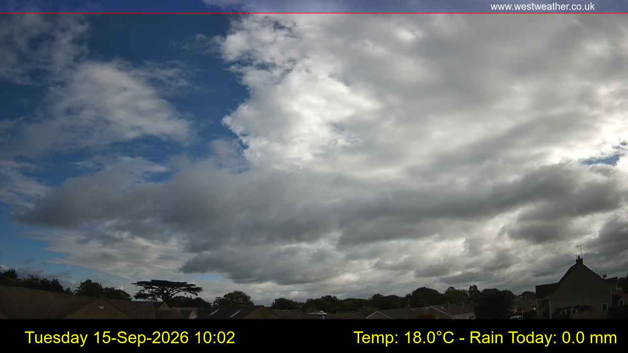Live Webcam