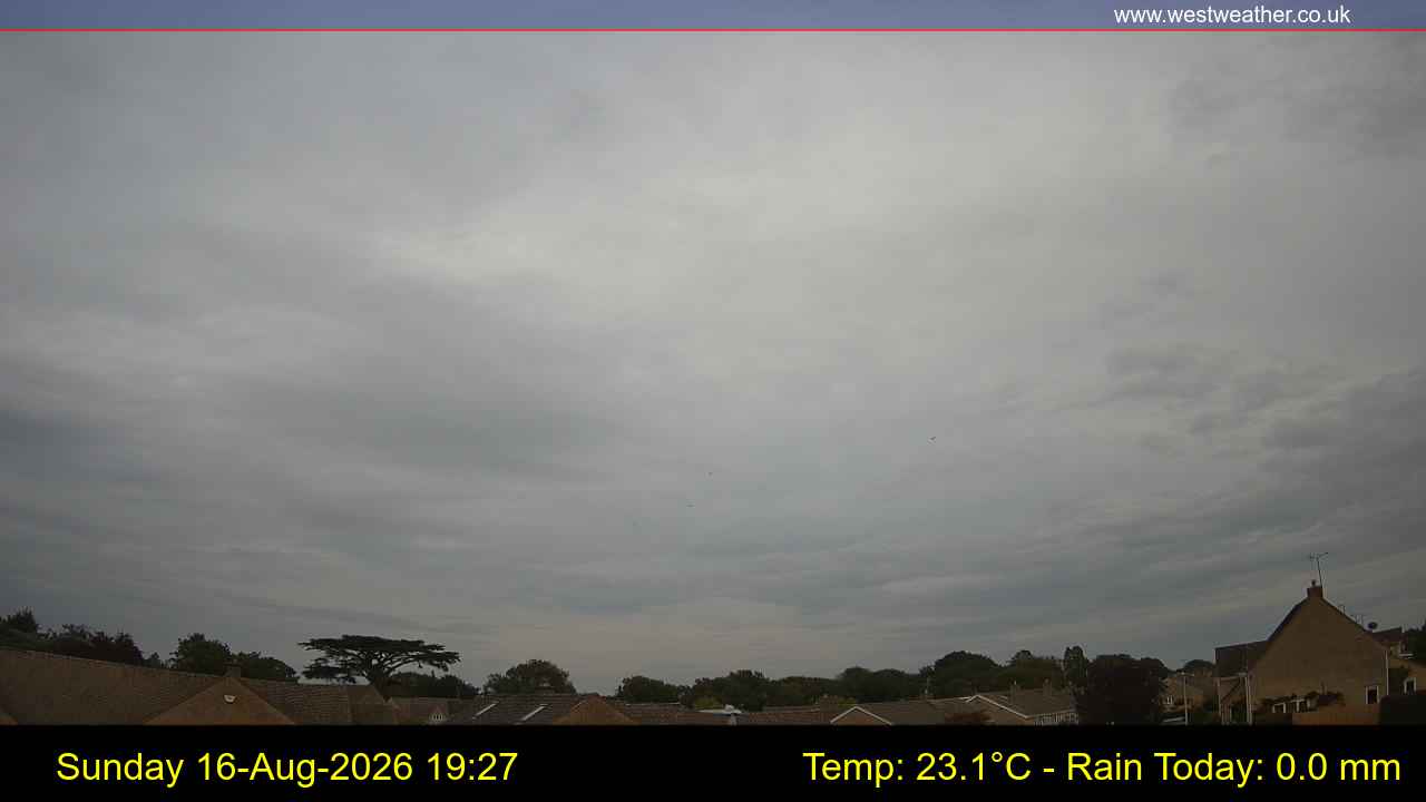 Live Webcam
