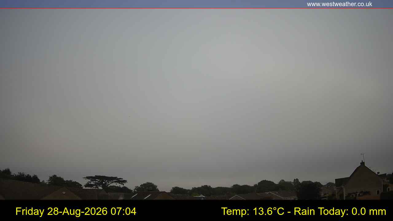 Live Webcam