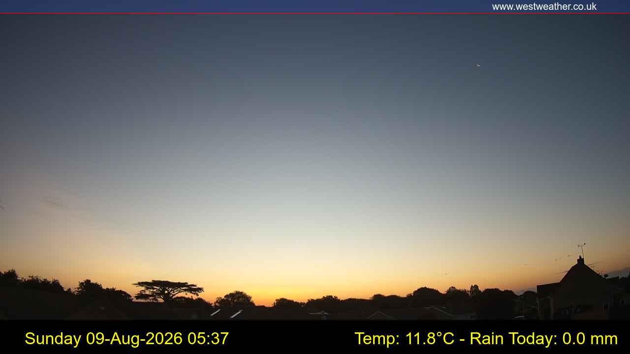 Live Webcam
