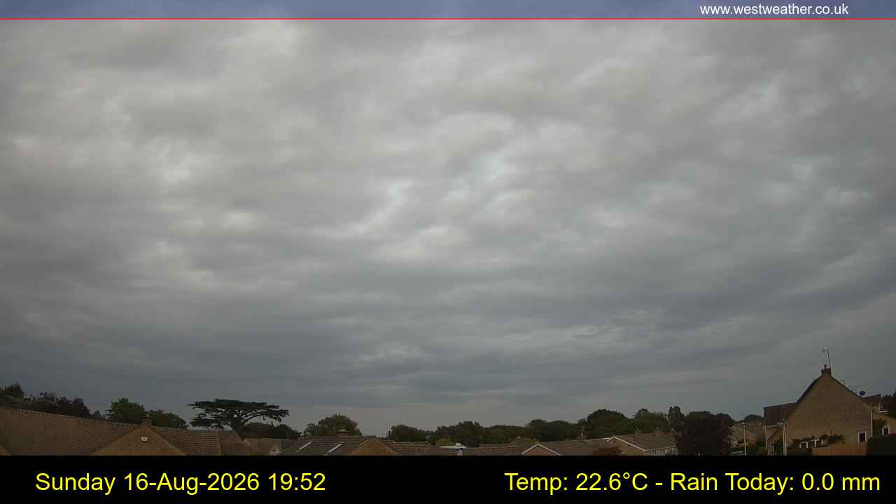 Live Webcam