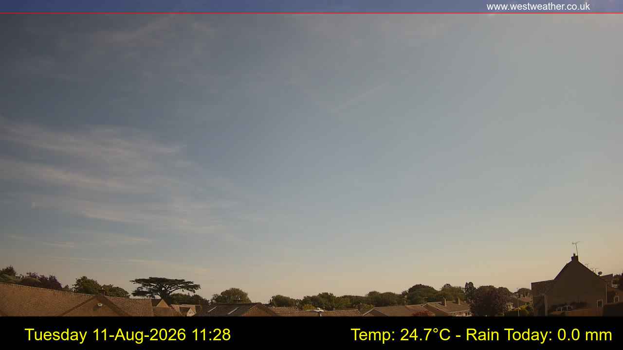 Live Webcam