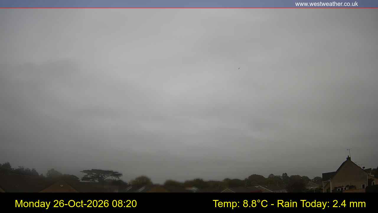 Live Webcam