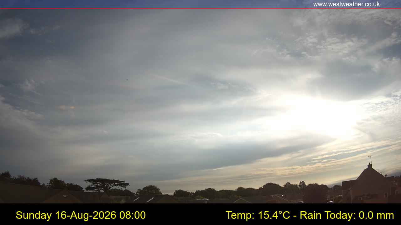 Live Webcam