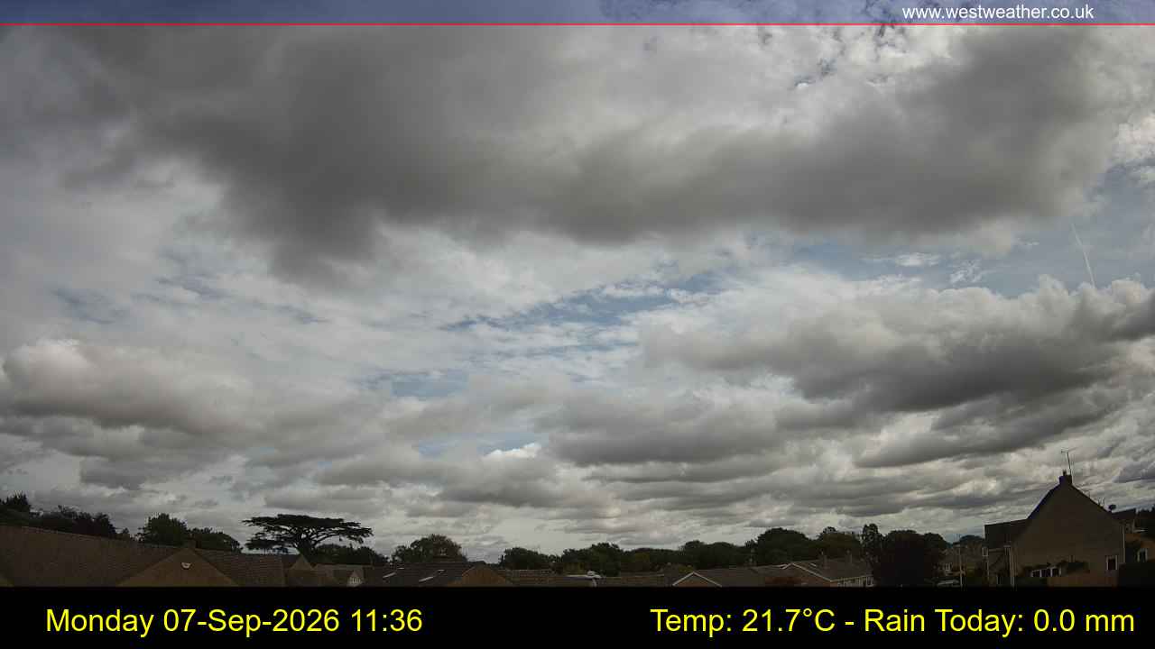 Live Webcam