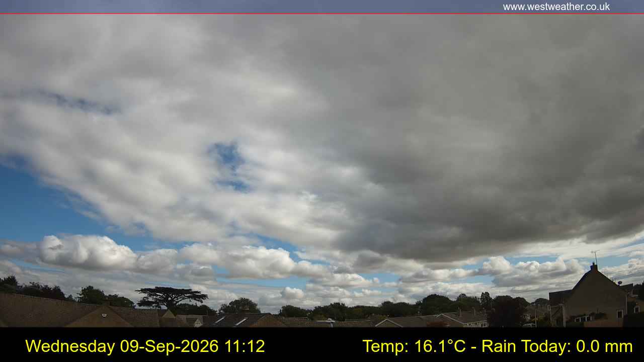 Live Webcam