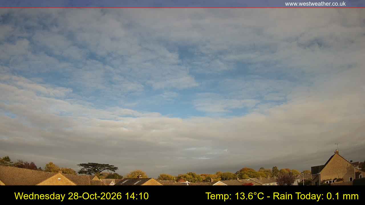 Live Webcam