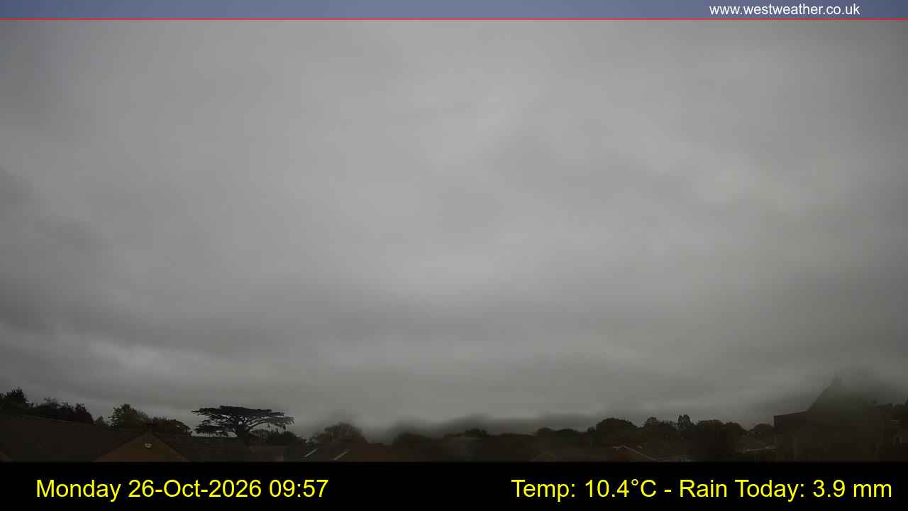 Live Webcam