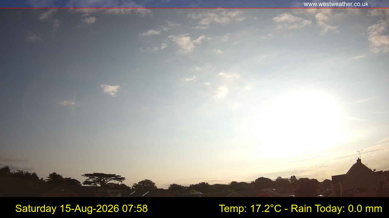 Live Webcam